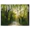 Designart - Evening in Green Forest - Landscape Canvas Art Print